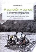 A carretón y canoa