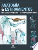 Anatomía & Estiramientos