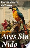 Aves Sin Nido