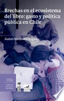 Brechas en el ecosistema del libro: gasto y política pública en Chile.