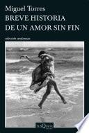 Breve historia de un amor sin fin