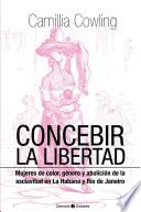 Concebir la libertad. Mujeres de color, género y abolición de la esclavitud