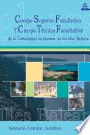 Cuerpo Superior Facultativo de la Comunidad Autonoma de Las Islas Baleares. Temario Comun Juridico. E-book