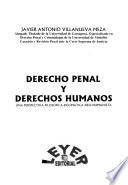 Derecho penal y derechos humanos