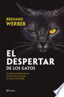 El despertar de los gatos