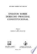 Ensayos sobre derecho procesal constitucional