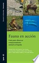 Fauna en acción