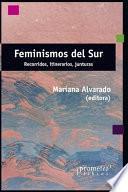 Feminismos del sur