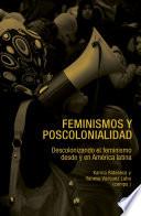 Feminismos y poscolonialidad
