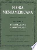 Flora mesoamericana