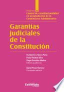Garantías judiciales de la Constitución Tomo IV