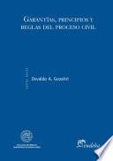 Garantías, principios y reglas del proceso civil