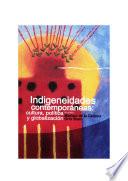 Indigeneidades contemporáneas: cultura, política y globalización