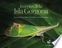 Insectos de la Isla Gorgona