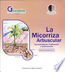 la micorriza arbuscular