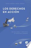 Los derechos en acción: Obligaciones y principios de derechos humanos