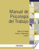 Manual de Psicología del Trabajo