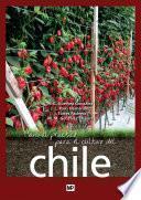 Manual práctico para el cultivo del chile