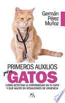 Primeros auxilios para gatos