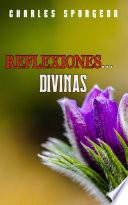 Reflexiones Divinas