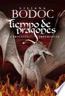 Tiempo de dragones